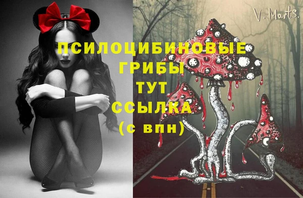 мдма Магас