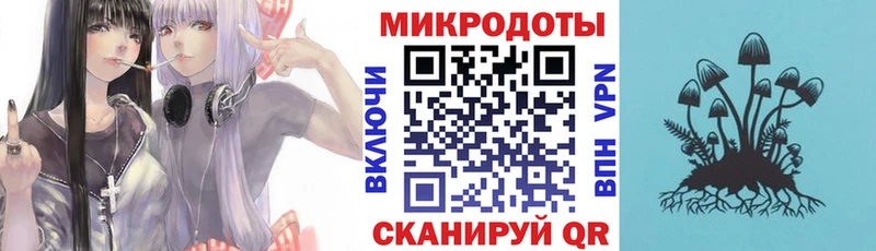 Галлюциногенные грибы GOLDEN TEACHER  shop наркотические препараты  Шахты  продажа наркотиков 